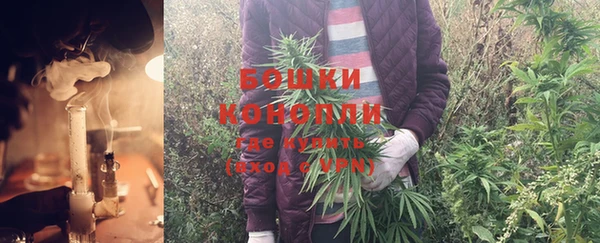 каннабис Дмитров