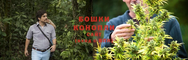 бошки Алексеевка