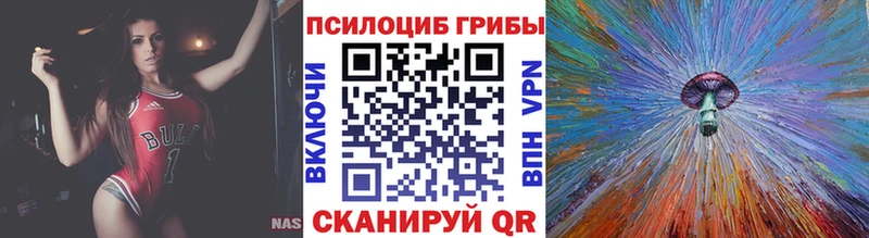 Псилоцибиновые грибы Psilocybine cubensis  Троицк 