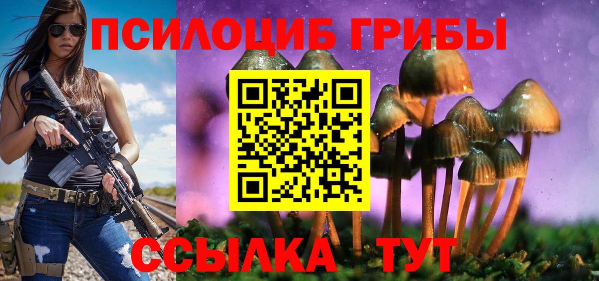 Псилоцибиновые грибы GOLDEN TEACHER Троицк